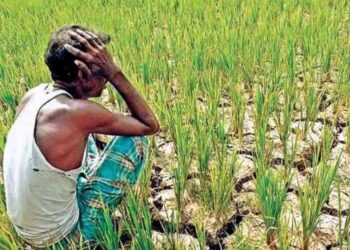 मानसून ब्रेक से खेती पर संकट, 230 तहसीलों में सामान्य से कम बारिश