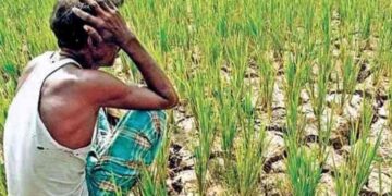 मानसून ब्रेक से खेती पर संकट, 230 तहसीलों में सामान्य से कम बारिश