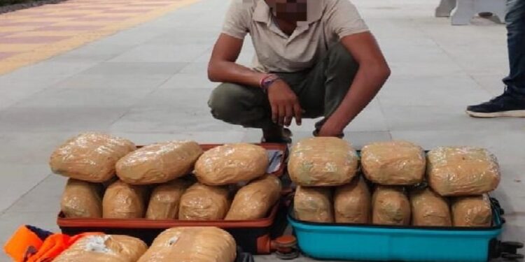 भिलाई रेलवे स्टेशन से 18.6 किलो गांजा जब्त, ओडिशा का तस्कर गिरफ्तार