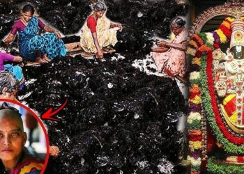 तिरुपति देवस्थानम बेचेगा 283 टन मानव बाल, पिछले सारे रिकॉर्ड टूटे; करोड़ों में हो सकता है कारोबार