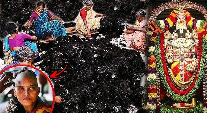 तिरुपति देवस्थानम बेचेगा 283 टन मानव बाल, पिछले सारे रिकॉर्ड टूटे; करोड़ों में हो सकता है कारोबार