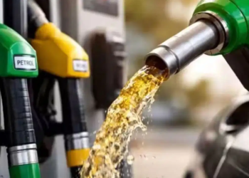 पेट्रोल से सस्ता होगा E85 फ्यूल! सरकार 2027 तक खोलेगी 5,000 फ्लेक्स-फ्यूल स्टेशन