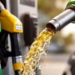 पेट्रोल से सस्ता होगा E85 फ्यूल! सरकार 2027 तक खोलेगी 5,000 फ्लेक्स-फ्यूल स्टेशन