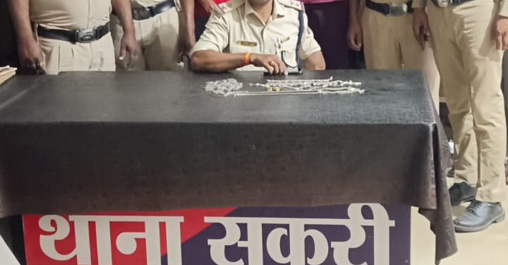 Bilaspur Crime News: पुलिस का खोजी कुत्ता सीधा चोरों के घर पहुंचा, दो आरोपी गिरफ्तार
