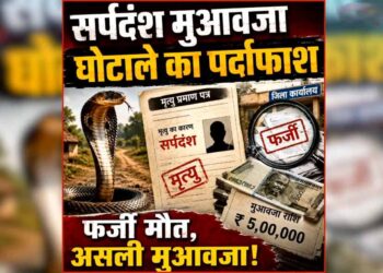 सर्पदंश मुआवजा घोटाला: 10 चरणों की जांच व्यवस्था के बावजूद कैसे हुआ करोड़ों का फर्जीवाड़ा?
