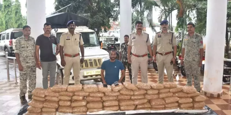 छत्तीसगढ़: बस्तर में गांजे की बड़ी खेप पकड़ी गई, ₹1.07 करोड़ का गांजा जब्त, एक आरोपी गिरफ्तार
