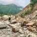 उत्तराखंड में मॉनसून का कहर: 100 सड़कें बंद, दो मकान ढहे; आदि कैलास और ओम पर्वत यात्रा स्थगित