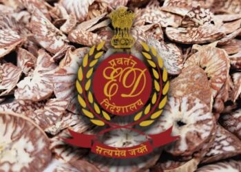 म्यांमार सीमा से सुपारी तस्करी, चार राज्यों में 20 ठिकानों पर छापे, 1,500 करोड़ की अवैध आय का खुलासा