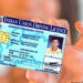 छह माह में 2,352 लाइसेंस निलंबित, 373 लोगों की मौत