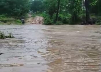 छत्तीसगढ़ में बाढ़-बारिश का कहर, गरियाबंद में NH-130C बंद; कई वाहन फंसे, त्रिवेणी संगम लबालब
