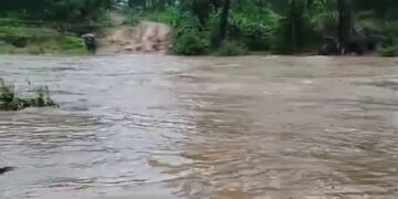 छत्तीसगढ़ में बाढ़-बारिश का कहर, गरियाबंद में NH-130C बंद; कई वाहन फंसे, त्रिवेणी संगम लबालब