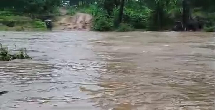 छत्तीसगढ़ में बाढ़-बारिश का कहर, गरियाबंद में NH-130C बंद; कई वाहन फंसे, त्रिवेणी संगम लबालब