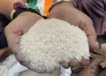 छत्तीसगढ़ में राशन के चावल की गुणवत्ता सुधरेगी, अब मिलेगा सिर्फ 10% कनकी वाला चावल
