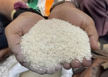 छत्तीसगढ़ में राशन के चावल की गुणवत्ता सुधरेगी, अब मिलेगा सिर्फ 10% कनकी वाला चावल