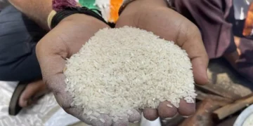 छत्तीसगढ़ में राशन के चावल की गुणवत्ता सुधरेगी, अब मिलेगा सिर्फ 10% कनकी वाला चावल