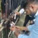 राजस्व वसूली अभियान तेज, बकाया नहीं चुकाने पर निगम ने संपत्तियां कीं सीलबंद