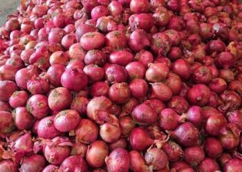 प्याज के दाम में फिर लगी आग, सप्ताहभर में ₹15-20 किलो महंगा; होटल-रेस्तरां पर असर
