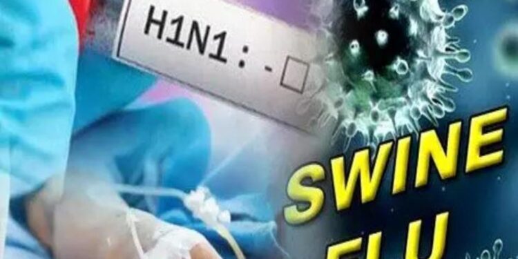 रायपुर में स्वाइन फ्लू के 3 नए मामले सामने आए, एक्टिव मरीजों की संख्या 28
