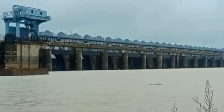 छत्तीसगढ़ में झमाझम बारिश से बांध-जलाशय लबालब, औसत जल भंडारण 88% के पार