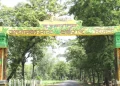 अचानकमार टाइगर रिजर्व का गेट 1 नवंबर से खुलेगा, सफारी के लिए ऑनलाइन बुकिंग शुरू