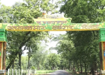 अचानकमार टाइगर रिजर्व का गेट 1 नवंबर से खुलेगा, सफारी के लिए ऑनलाइन बुकिंग शुरू