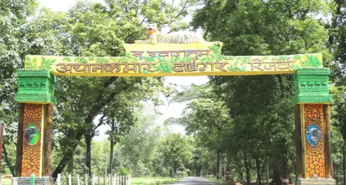 अचानकमार टाइगर रिजर्व का गेट 1 नवंबर से खुलेगा, सफारी के लिए ऑनलाइन बुकिंग शुरू