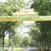 अचानकमार टाइगर रिजर्व का गेट 1 नवंबर से खुलेगा, सफारी के लिए ऑनलाइन बुकिंग शुरू