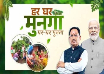 बीमारियों से लड़ने के लिए छत्तीसगढ़ सरकार का अभियान, हर घर पहुंचेगा मुनगा